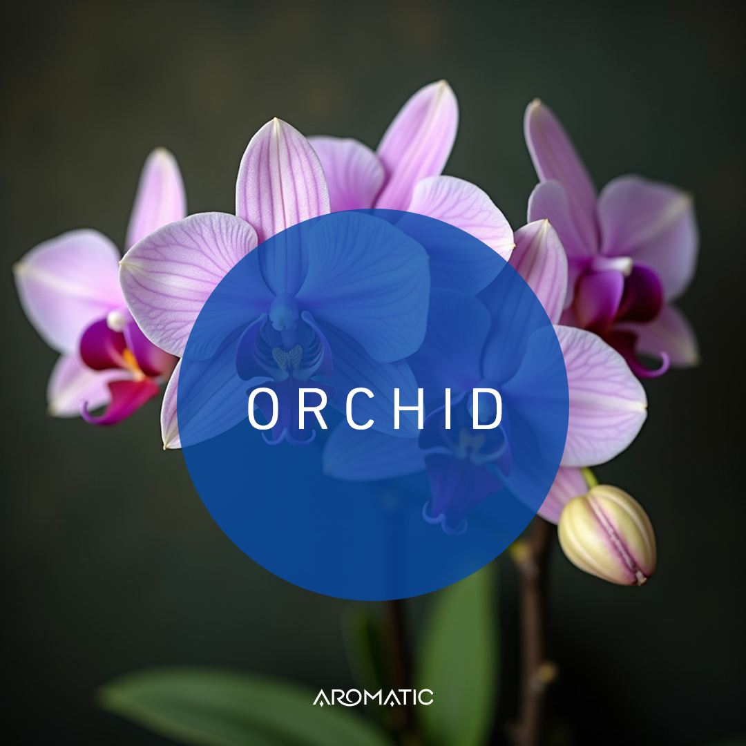 Orchid Fragrance Oil
