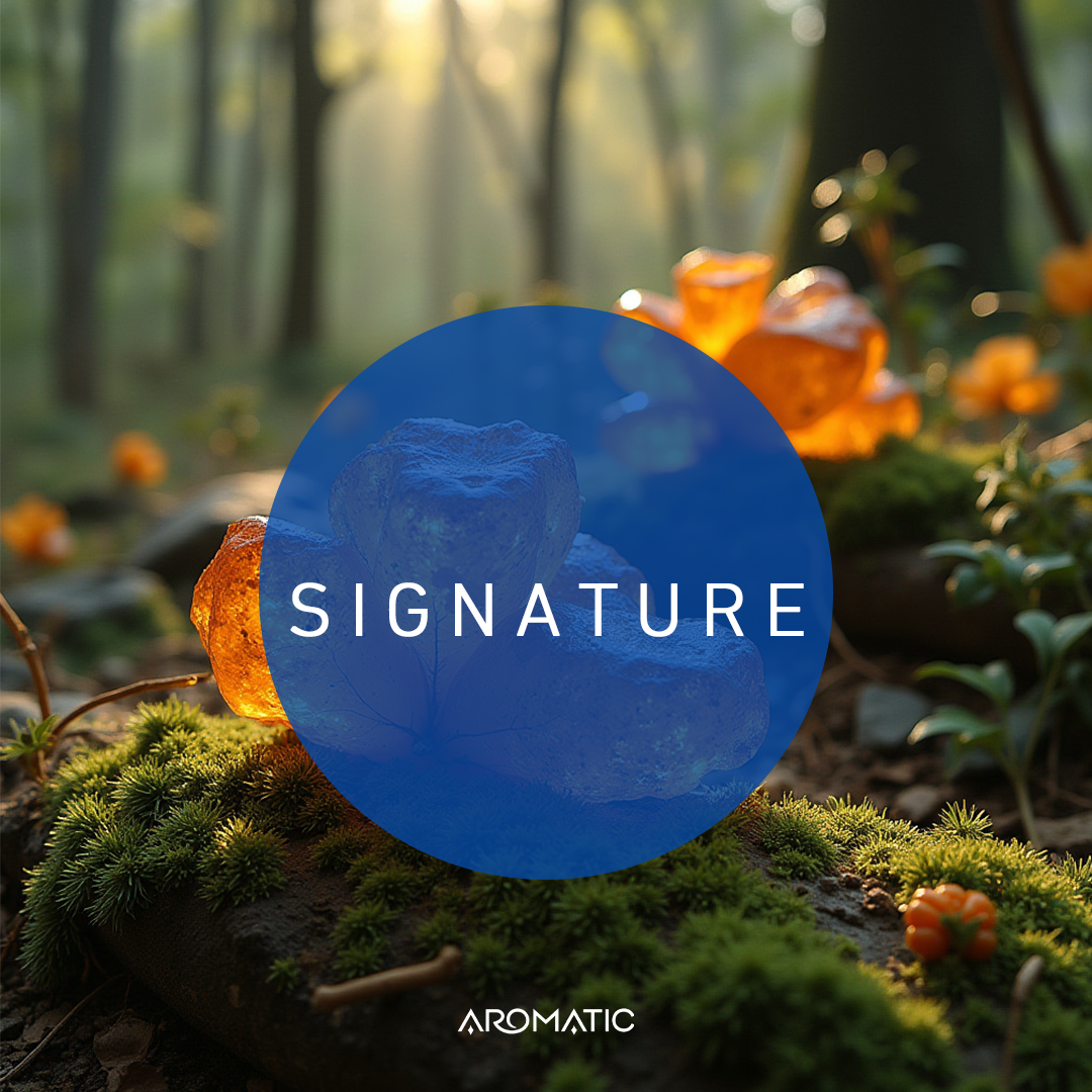 Signature Fragrance Oil