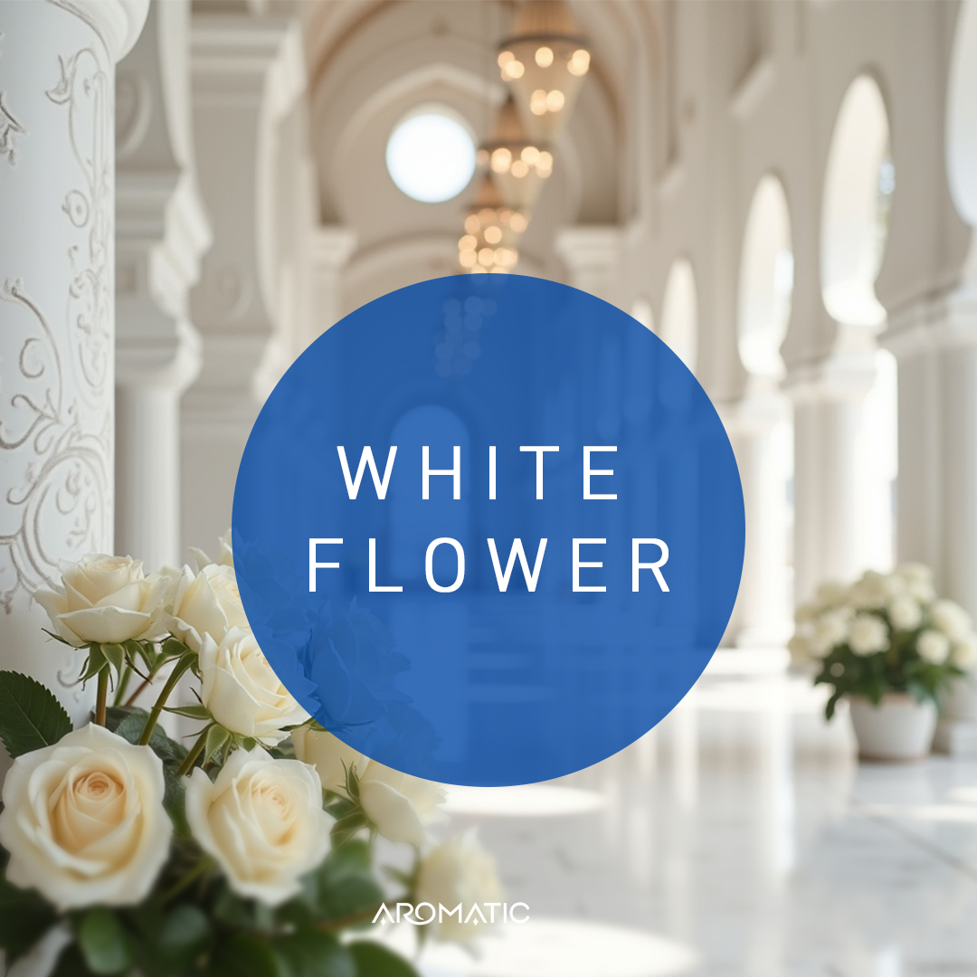 White Flower Fragrance Oil